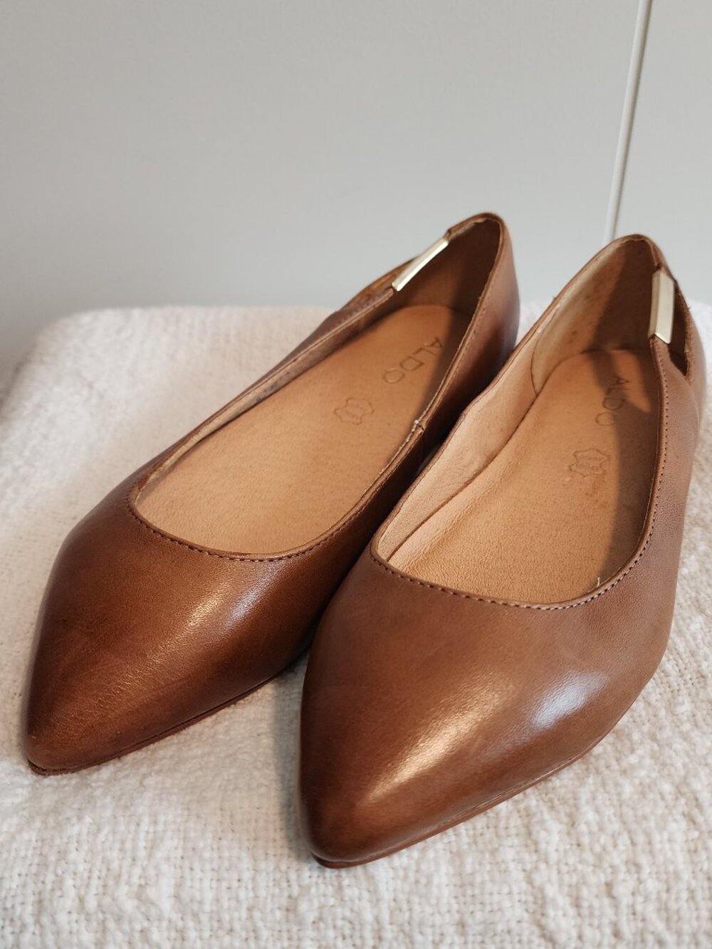 Aldo Pointed Leather Flats